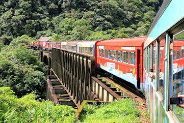 Morretes guided excursion by train with typical lunch